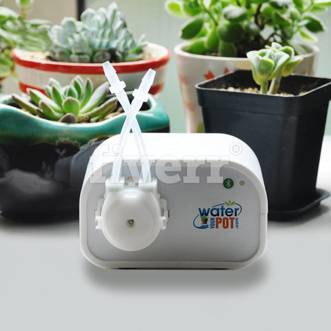 Buy Wifi watering kit for pot plants